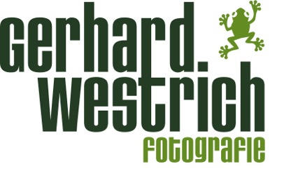 files/vorspiel_ssl_bln/bilder/koop/logo_Gerhard_Westrich.jpeg