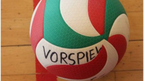 Logo der schwul-lesbischen Volleyball-Liga