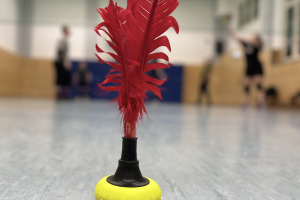 Bild zur Sportart Indiaca